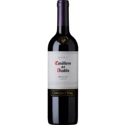 Y Toro Casillero Del Diablo Merlot 0,75L
